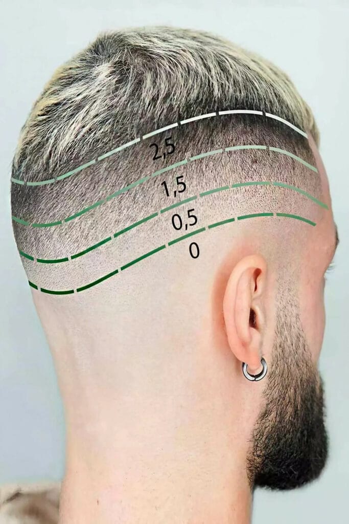 The Ultimate Newbies Guide: How to Cut Your Hair at Home 5 Cutting area A with clipper N 2