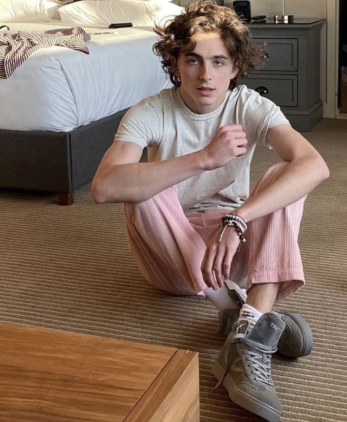 Celebrities Haircuts: Must-Have Styles for a Fresh New Look 16 Timothee Chalamet's Beautiful Hair