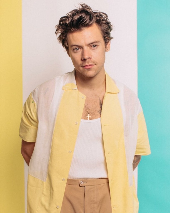 Celebrities Haircuts: Must-Have Styles for a Fresh New Look 19 Harry Styles' Iconic Hair
