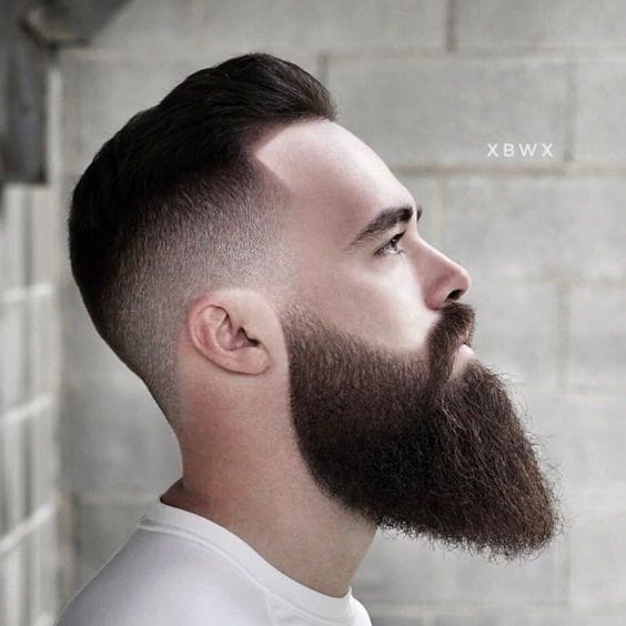 The Ducktail Beard: A Modern Twist on Classic Sophistication 10 ducktail with low fade