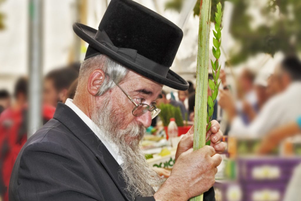 Stunning Jewish beard style you should try 7 Jewish beard