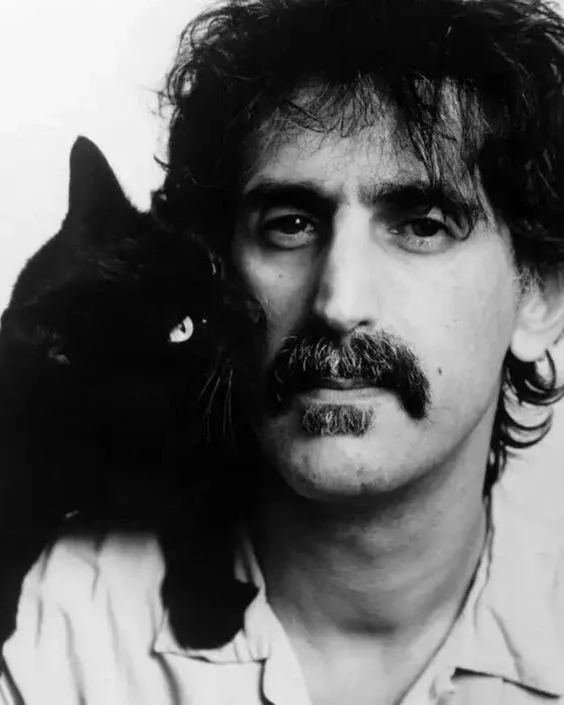 25 Best Types of Mustaches to Get an Impressive Look 16 Zappa Mustache