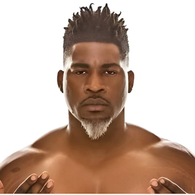 17 Golden Black Men's Beard Styles for Masculine Looks 6 Goatee Beard