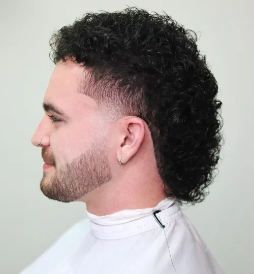 Curly Mullet Hairstyles Men